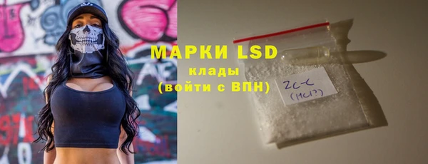 гидропоника Горнозаводск