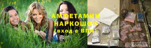 гидропоника Горнозаводск