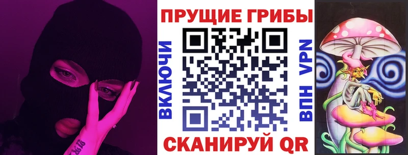 Галлюциногенные грибы Psilocybe маркетплейс как зайти Данилов